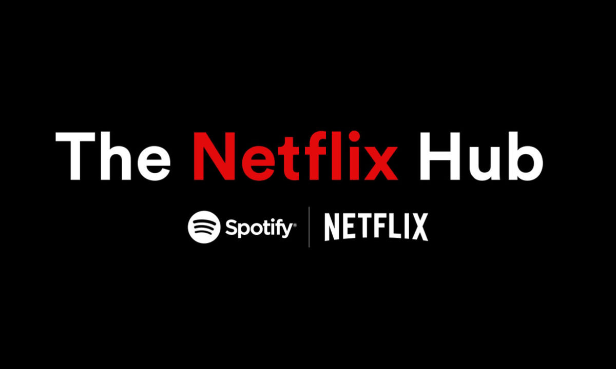 The Netflix Hub Spotify