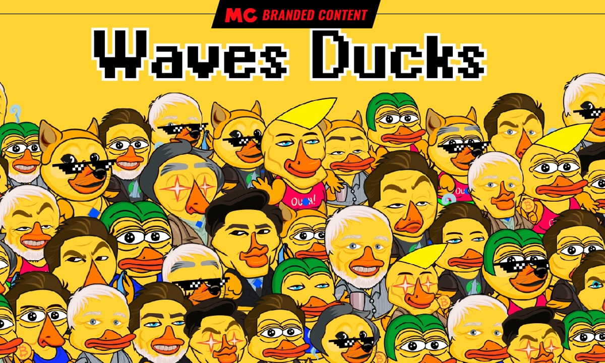 Waves Ducks portada