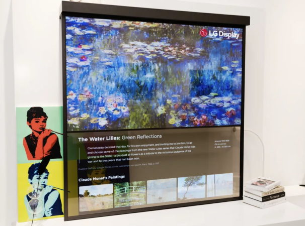 LG Display presume de pantallas OLED transparentes y flexibles