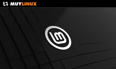 Linux Mint 20.3