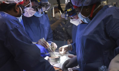 EE.UU. completa con éxito el primer trasplante de corazón de cerdo a un humano 37