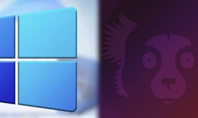 Windows 11 y Ubuntu 21