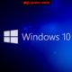 windows 10 oem