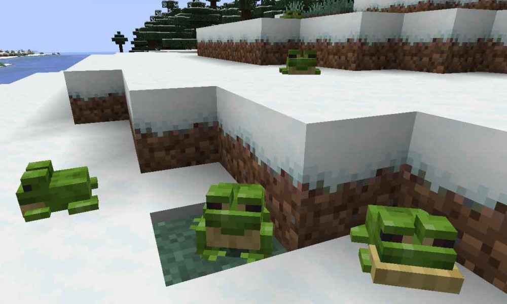 Ya tenemos la primera snapshot estándar de Minecraft 1.19 Java