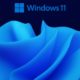 Windows 11