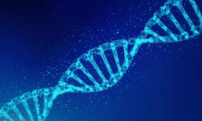 El genoma humano ya ha sido totalmente secuenciado