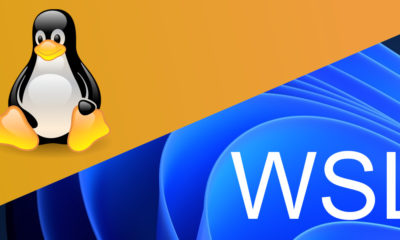 Linux Vs WSL