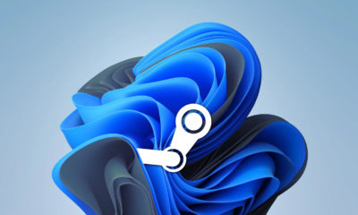 Windows 11 Encuesta Steam Abril