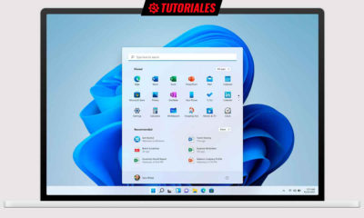 asistencia rápida de Windows 11