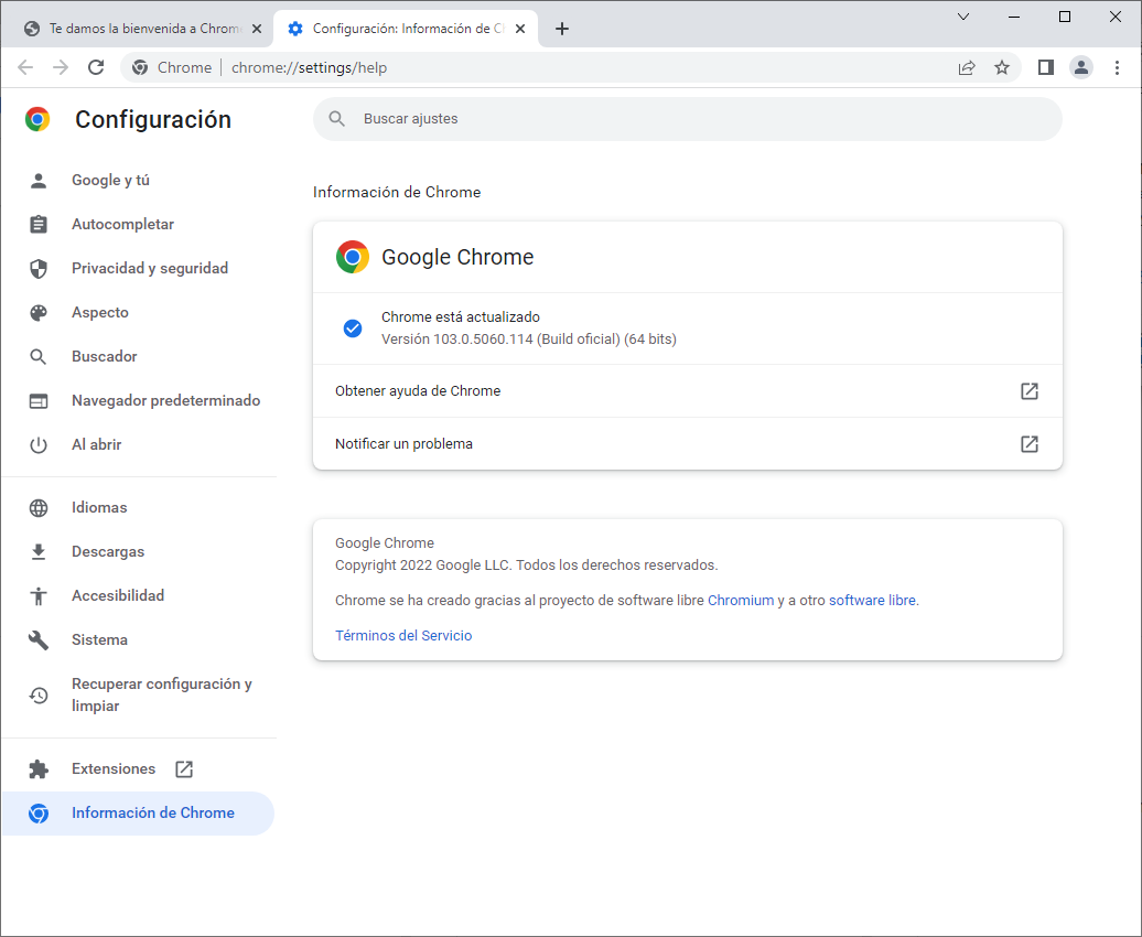 Actualizar Google Chrome para Windows