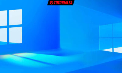 regresar a Windows 10 desde Windows 11