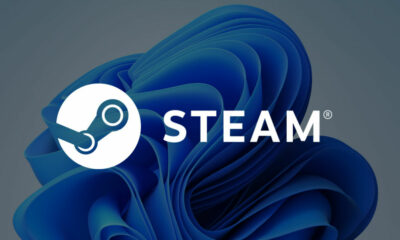 La cuota de uso de Windows 11 en Steam cae por primera vez