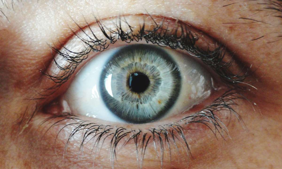 ojo humano