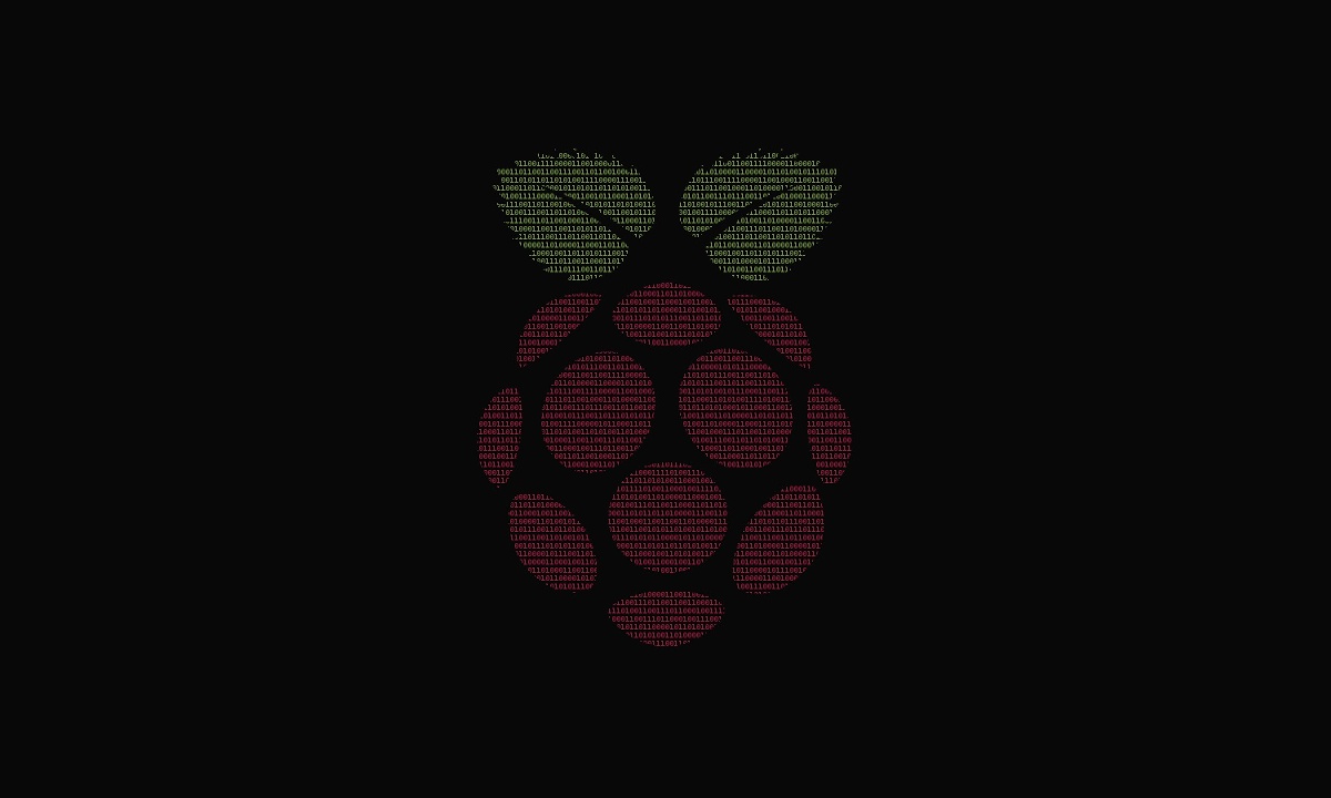 Raspberri Pi OS