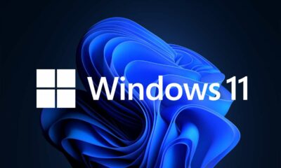 Windows 11
