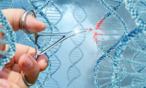 CRISPR