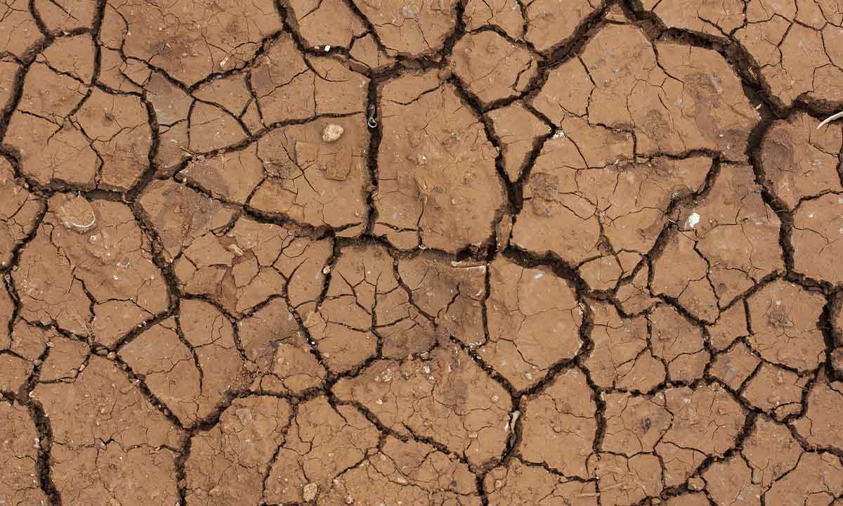 El calentamiento global golpea Europa con especial fuerza