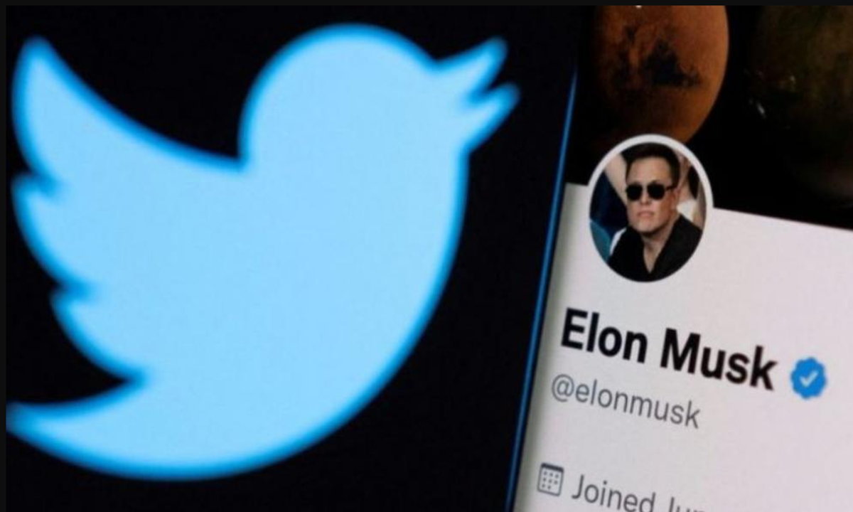 Elon Musk busca programadores en Twitter