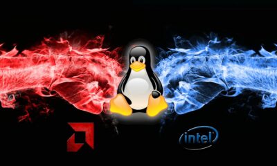 Intel Arc Vs AMD Radeon en Linux