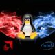 Intel Arc Vs AMD Radeon en Linux