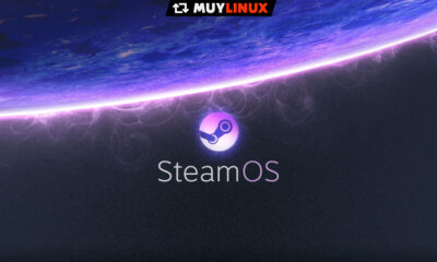 cuota de Linux en Steam