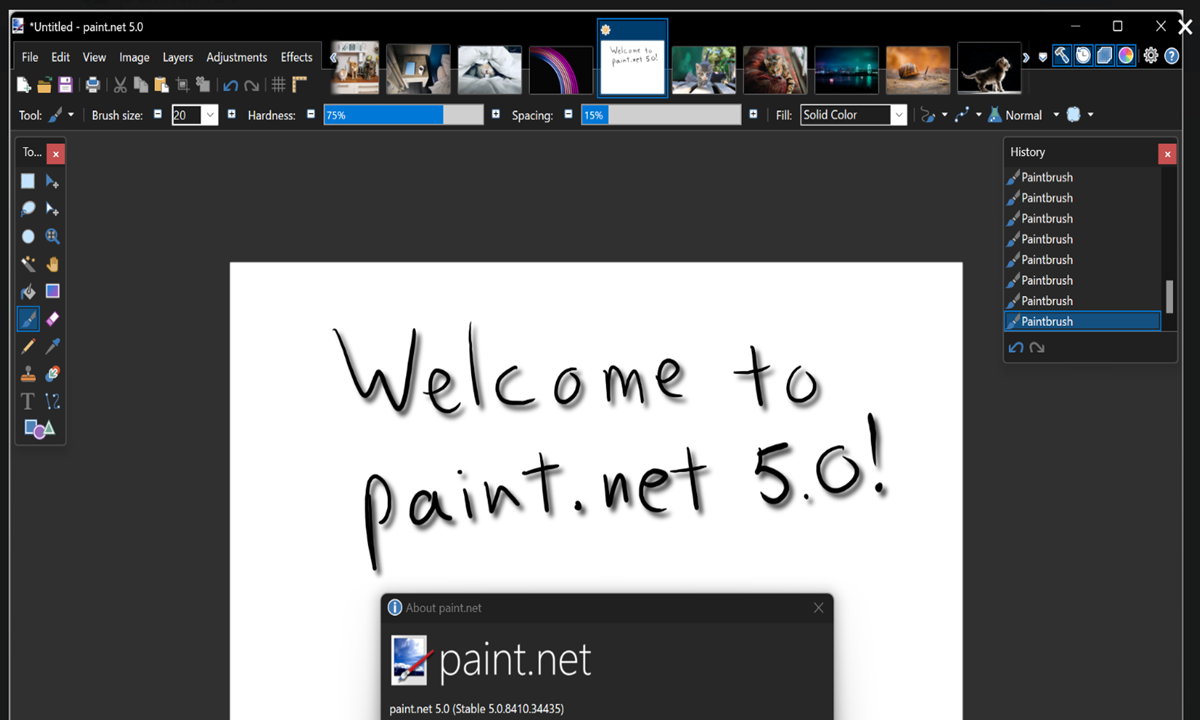 Paint.NET 5.0