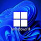 Windows 11