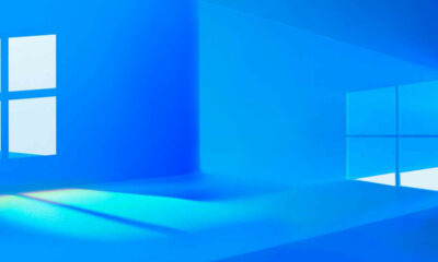 Windows 11 Pro o Home