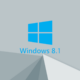 soporte de Windows 8.1