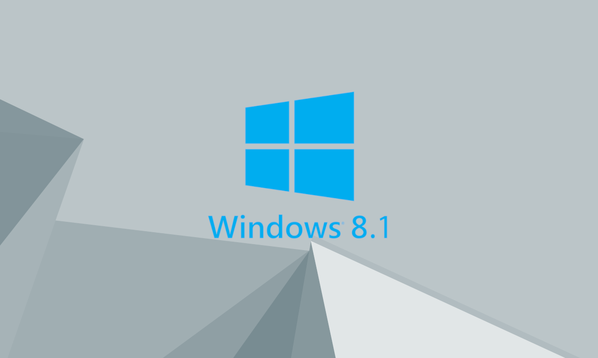 soporte de Windows 8.1