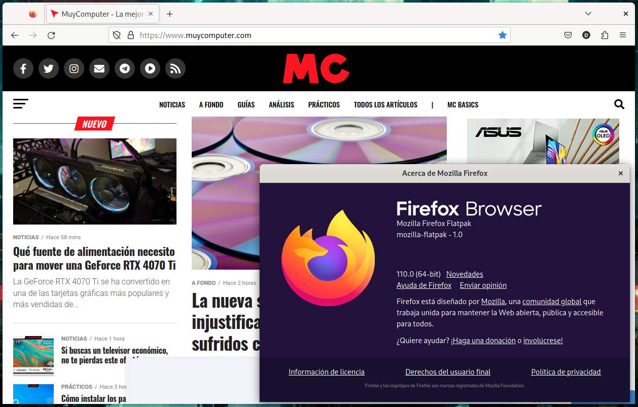 Mozilla Firefox 110