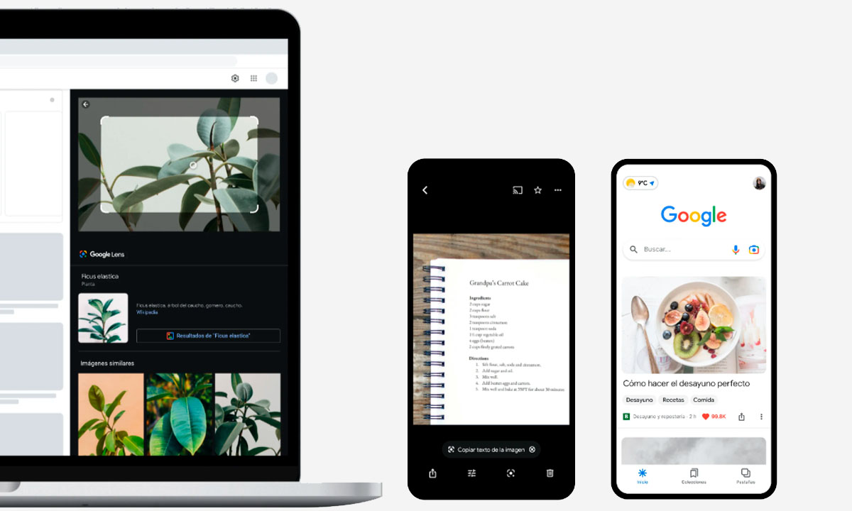 Google Lens ayuda a identificar problemas en la piel