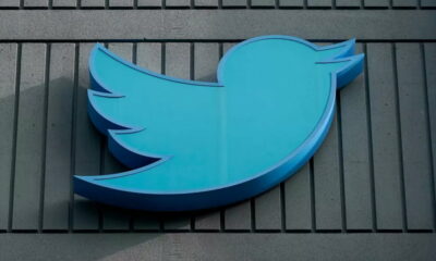pájaro azul de Twitter