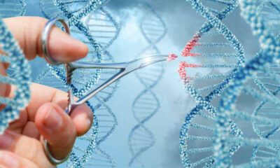CRISPR y CATCH, un prometedor avance contra el cáncer