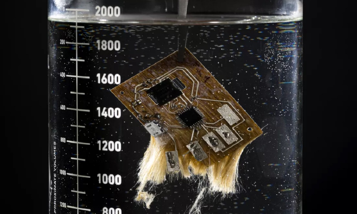 circuitos integrados