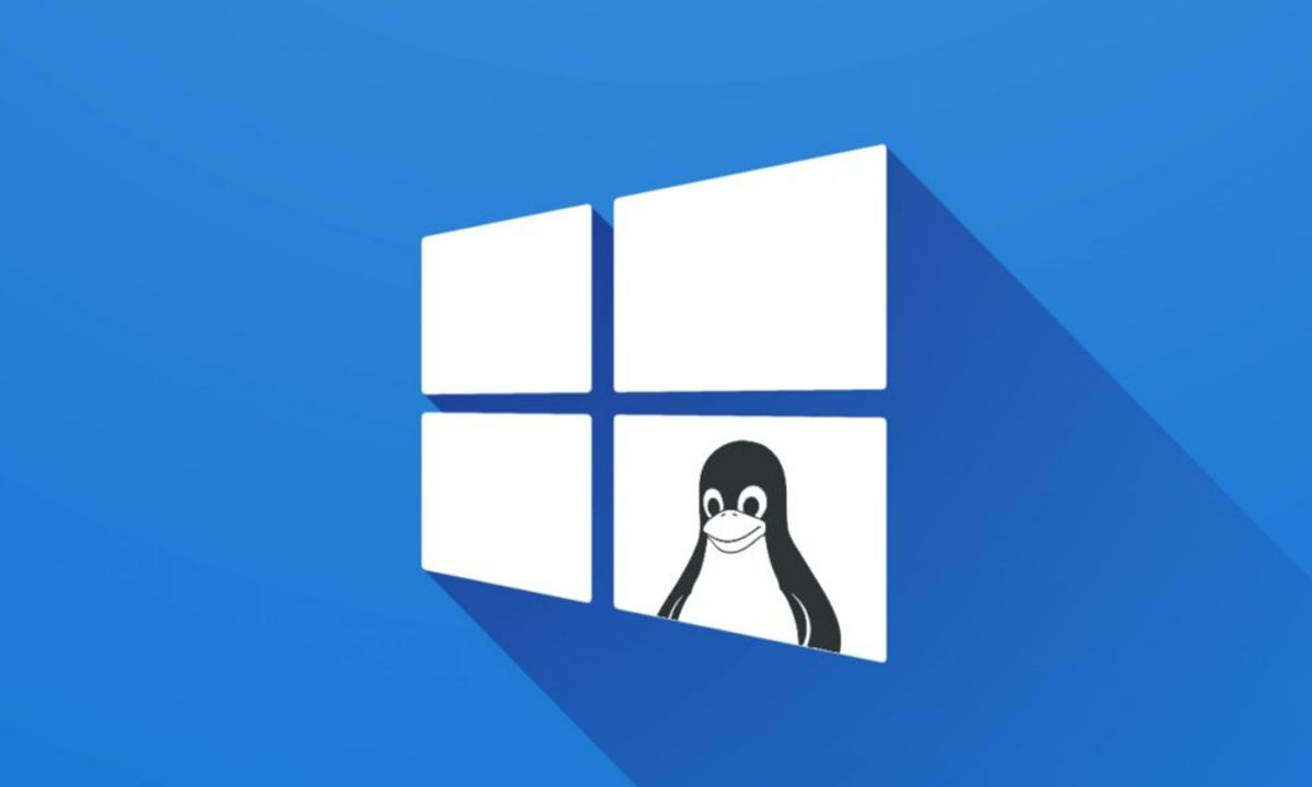 Windows Linux