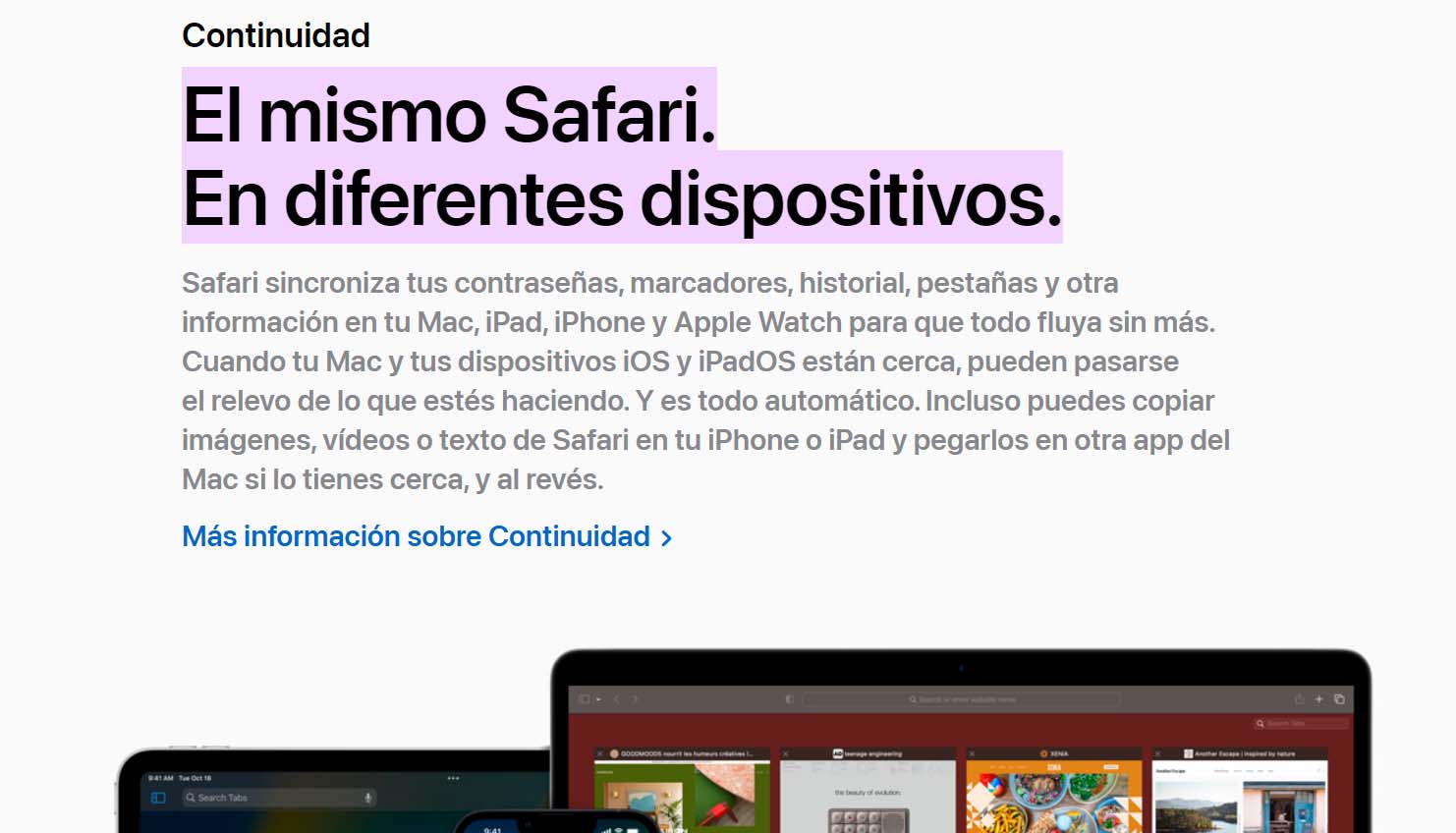 La insólita defensa de Apple por Safari en la Unión Europea