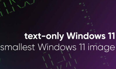 Windows 11 de 100 MB