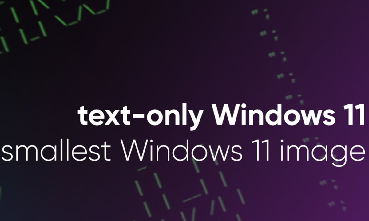 Windows 11 de 100 MB