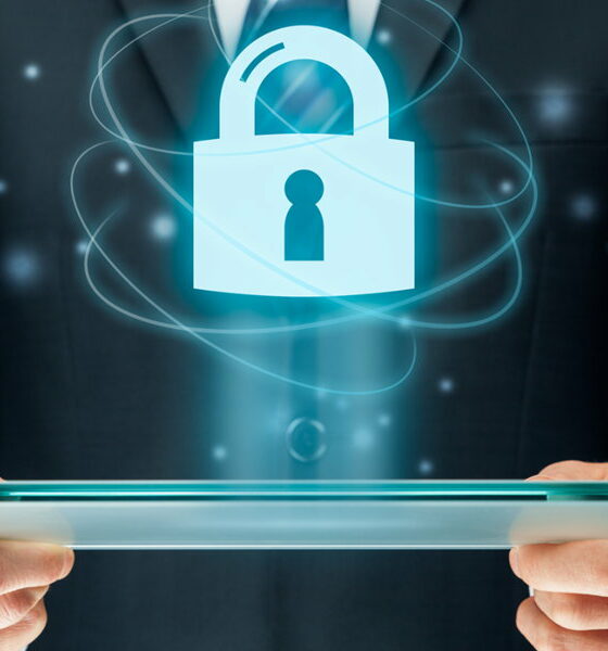 seguridad en Internet en 2024