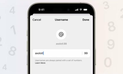 nombres de usuario de Signal