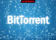 redes BitTorrent