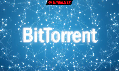 redes BitTorrent