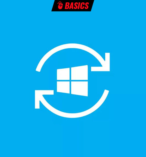 actualizar Windows