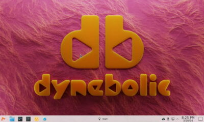 Dynebolic