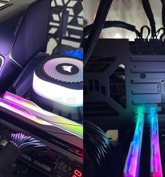 tarjetas gráficas guía