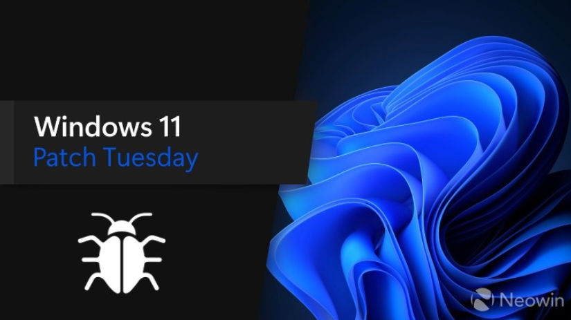 errores en Windows 11