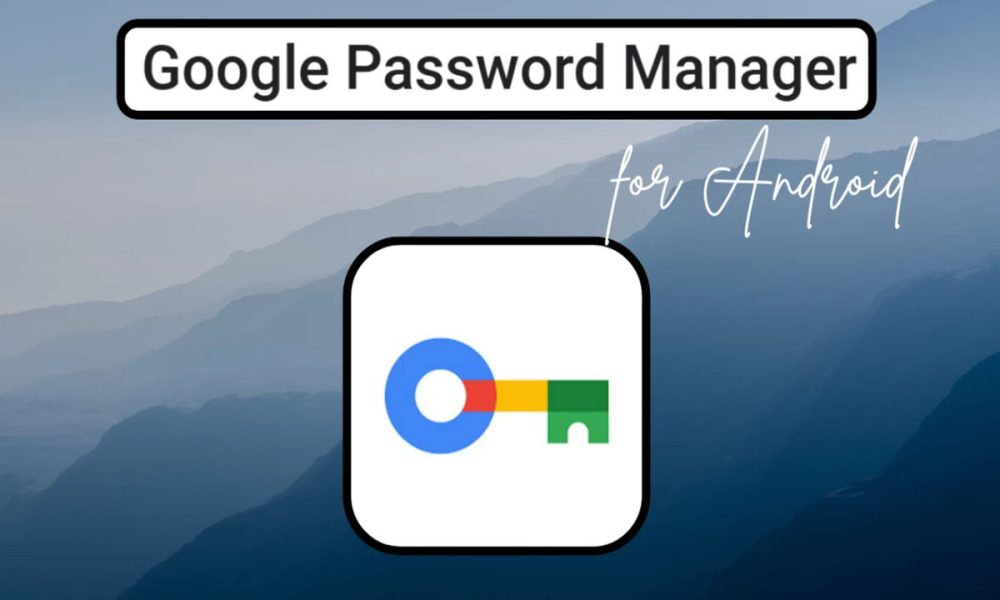 Gestor de contraseñas Google