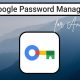 Gestor de contraseñas Google