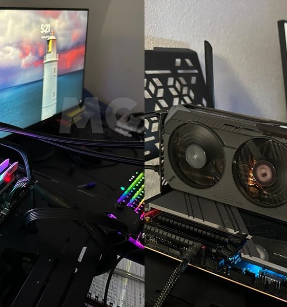 GeForce RTX 5060 Ti frente Radeon RX 9060 XT 16 GB